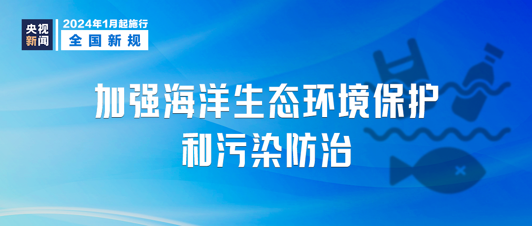 2024新澳免费资料大全penbao136,详细解读落实方案_精英版56.969