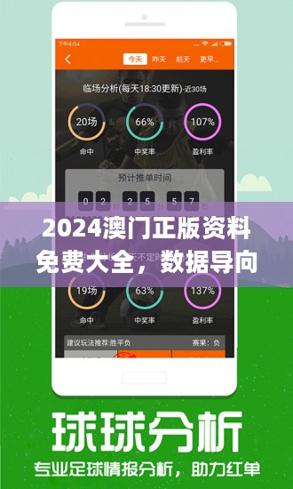 2024年新澳门王中王免费,专业执行方案_冒险款58.543