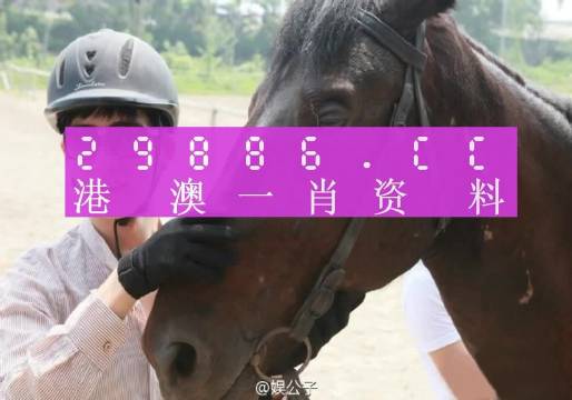 今晚澳门最准一肖一码,广泛的解释落实方法分析_set83.385