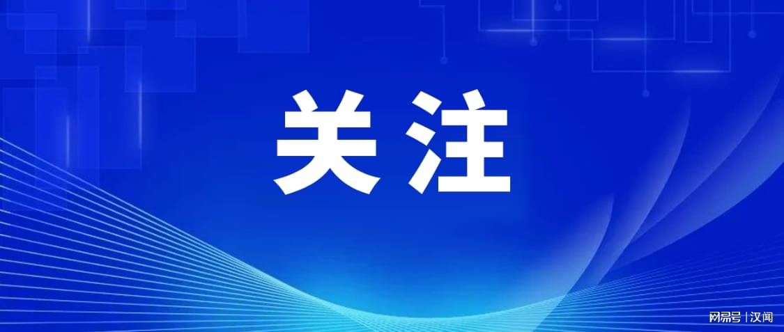 2024新澳门精准免费大全,数据解析支持策略_至尊版36.165