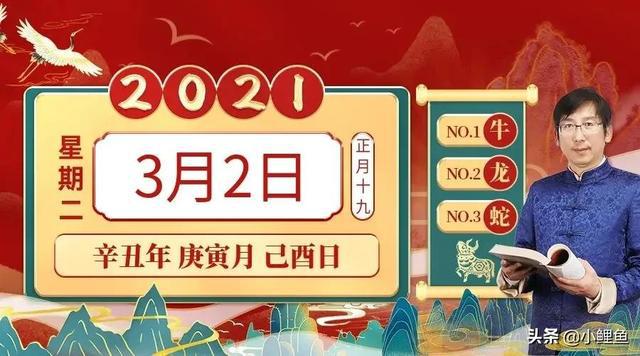 2024年香港今晚特马,持续设计解析_4K版49.338