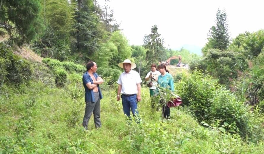 揭秘，最新发展的手机基地——探寻神秘的1204手机基地