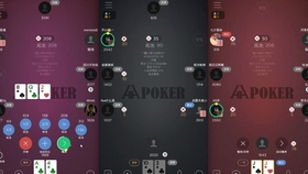 HHPoker下载体验与应用价值深度探究