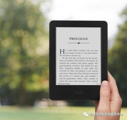 新澳2024今晚开奖结果查询表最新,实践方案设计_Kindle25.999