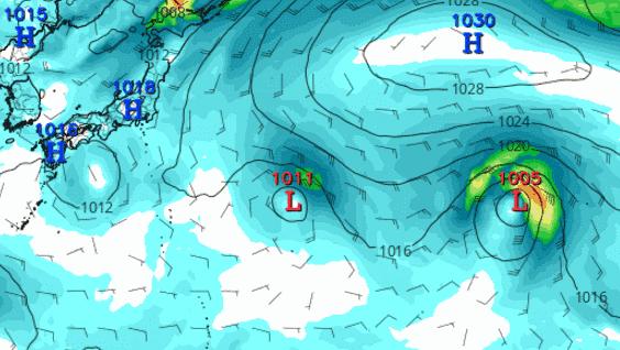 2024年12月11日 第6页