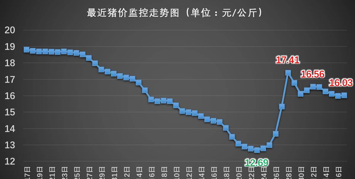 猪肉价格上涨最新动态及分析简报