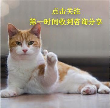 猫咪大香蕉2018最新视频在线观看，探索猫咪魅力时光