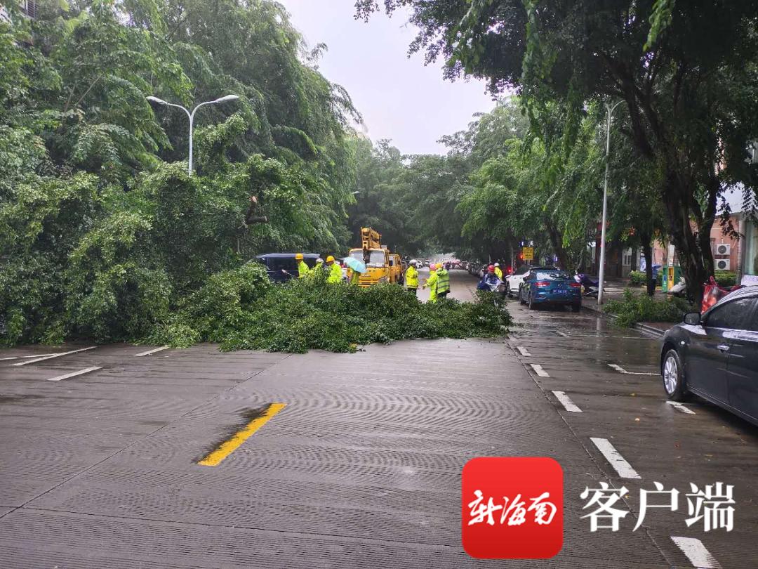 持续关注，第16号台风浪卡最新动态与路径报道