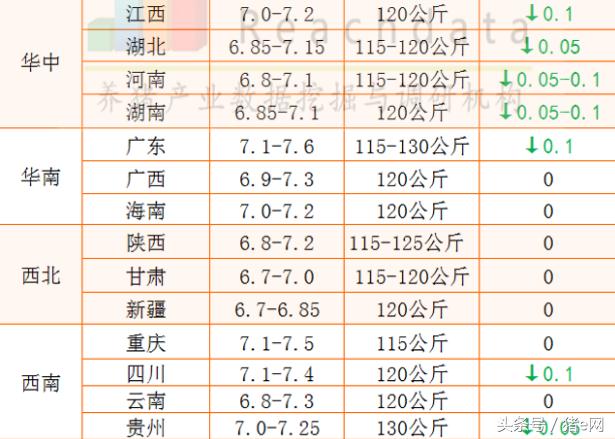 6月16全国猪价最新涨全国猪价最新动态，6月16日全面上涨趋势分析