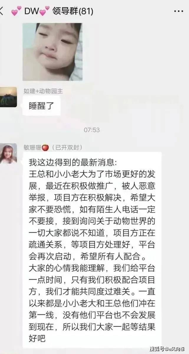 张小小揭秘动物世界最新消息与观察动态