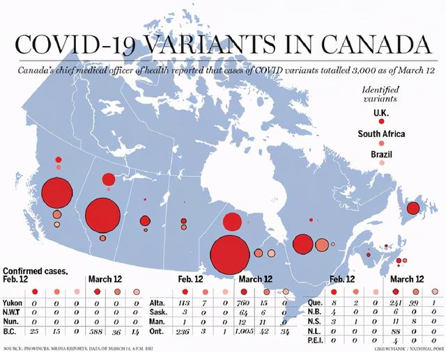 加拿大疫情最新消息，挑战与希望并存