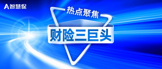 人保财险公司最新政策解析与展望