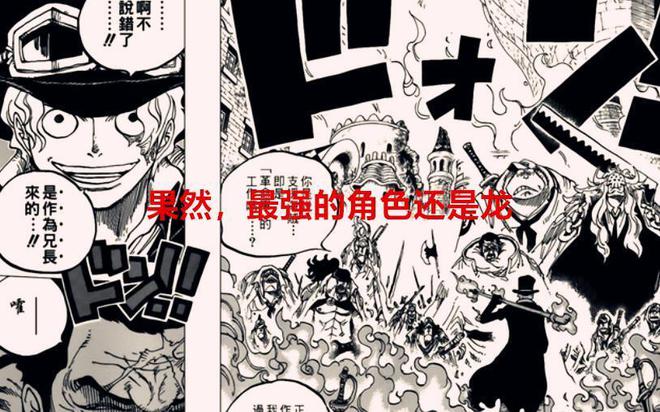 海贼王漫画萨博最新情报解析及揭秘